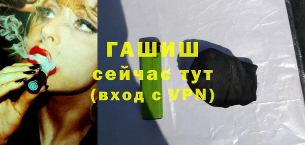 СК Алексин
