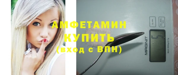 СК Алексин