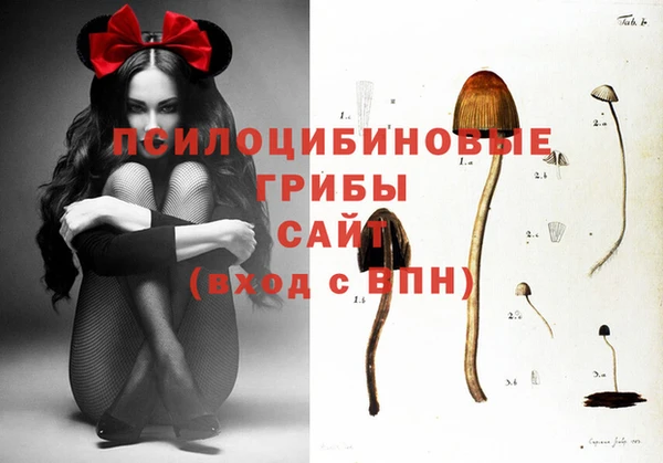 гидра Алексеевка