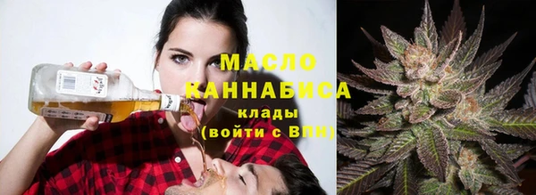 СК Алексин