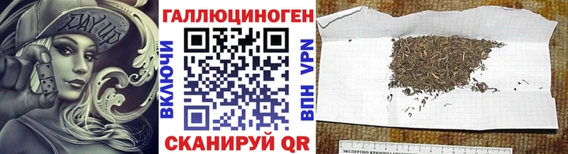 даркнет телеграм  Гаврилов Посад  Галлюциногенные грибы GOLDEN TEACHER 