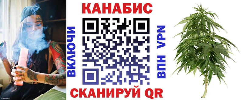 кракен как войти  Гаврилов Посад  Канабис сатива  наркотики 
